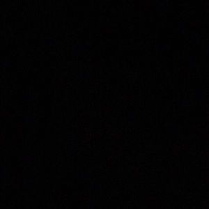 Meet your Posher, Kira